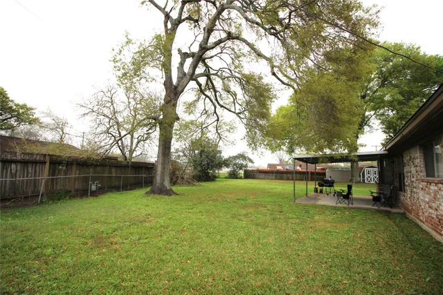 a view of a park with large trees