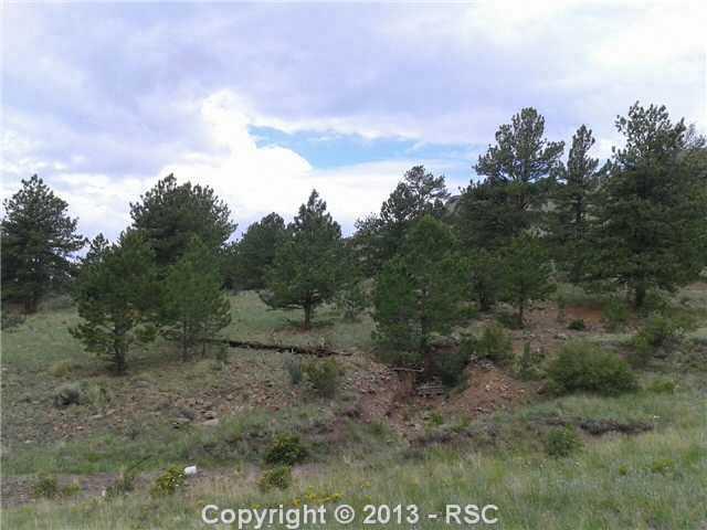Tbd Wagonwheel Road Guffey, CO 80820 - Photo 8 of 18 Gallery Image 8