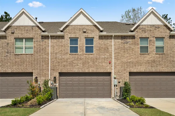 a view of a yard with plants and trees