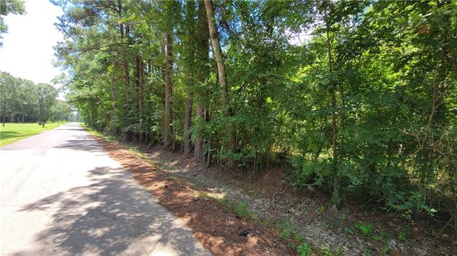 0 Stock Landing Road Deville, LA 71328 - Photo 3 of 4 Gallery Image 3