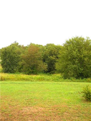 3364 Lipscomb Cemetery Road Springfield, TN 37172 - Photo 11 of 13 View from the back deck.