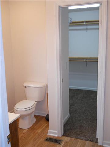 3364 Lipscomb Cemetery Road Springfield, TN 37172 - Photo 7 of 13 Master bath and the walk-in closet.