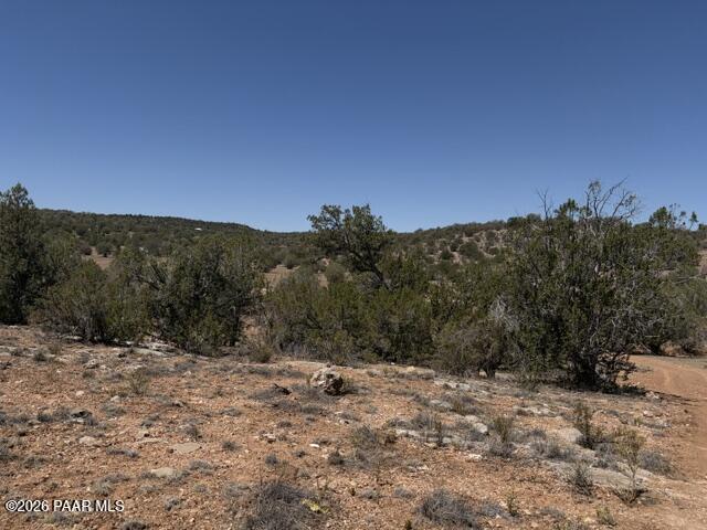 56385 North Bridge Canyon Road Seligman, AZ 86337 - Photo 4 of 10 IMG_1555