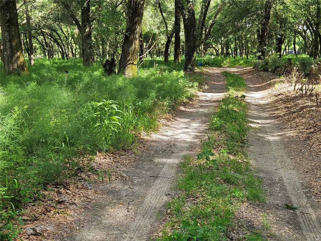 Burnsed Road Pierson, FL 32180 - Photo 8 of 11