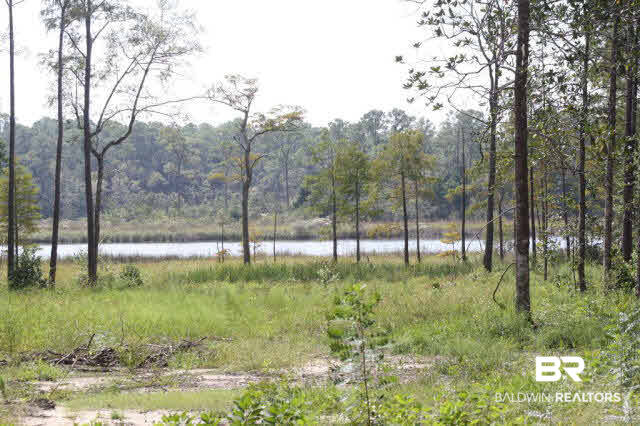 13315 Young Lane Foley, AL 36535 - Photo 4 of 7