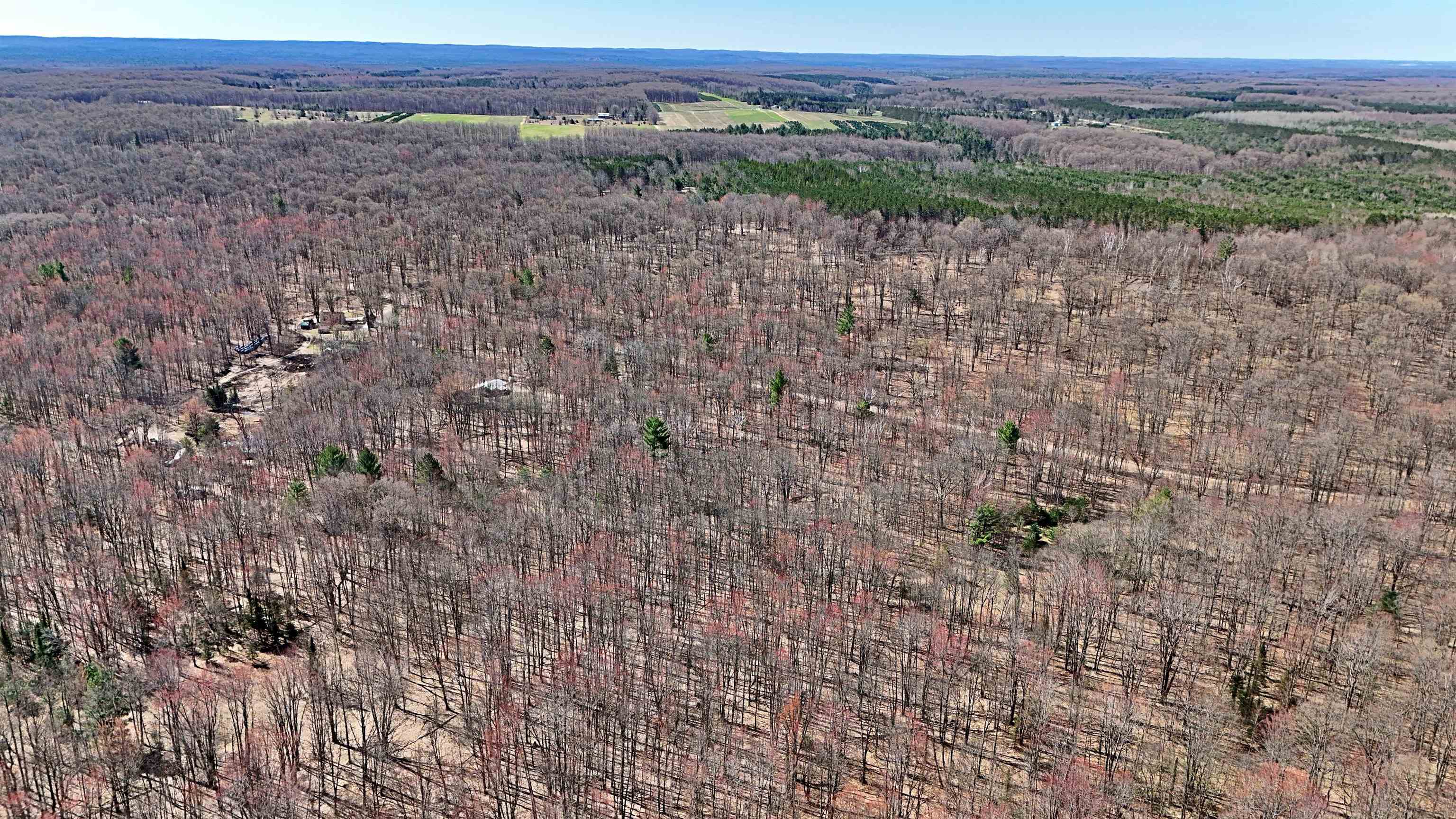 Vl 00 Cherry Hill Road Fife Lake, MI 49633 - Photo 9 of 21