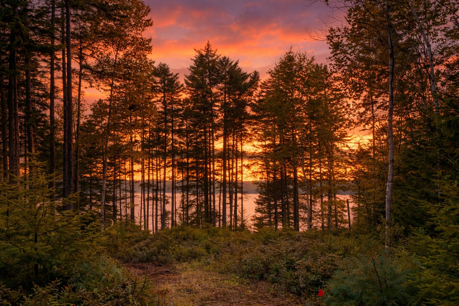 16 Fox Run Greenville, ME 04441 - Photo 7 of 11 Sunset Moosehead 1