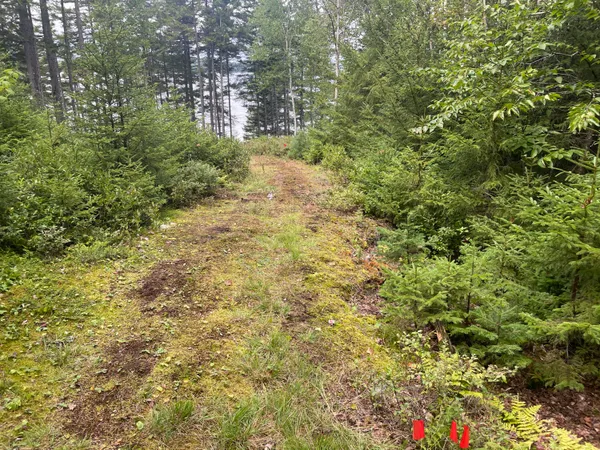 $399,000 | 16 Fox Run, Greenville, ME 04441