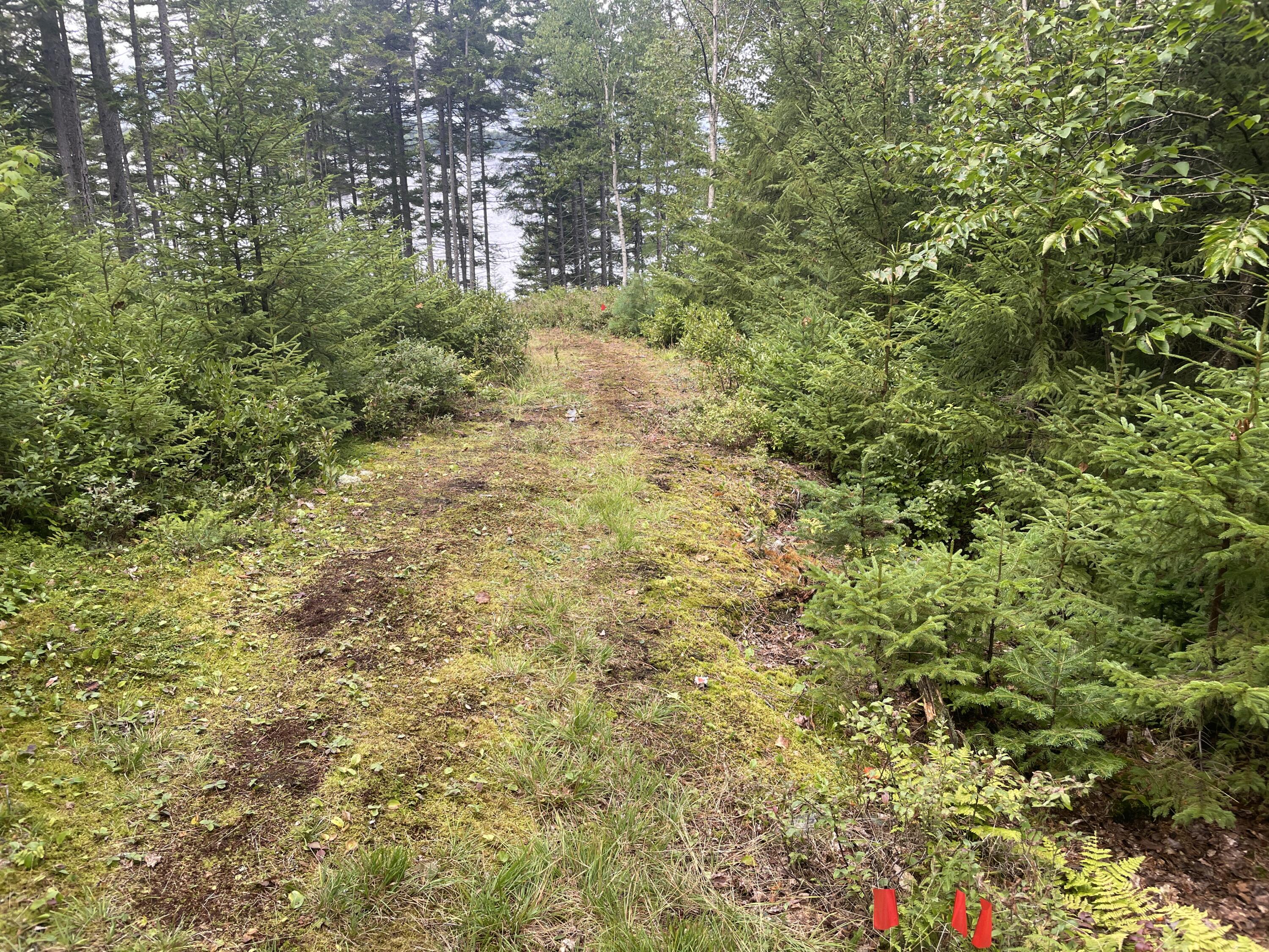 16 Fox Run Greenville, ME 04441 - Photo 9 of 11 IMG_6259