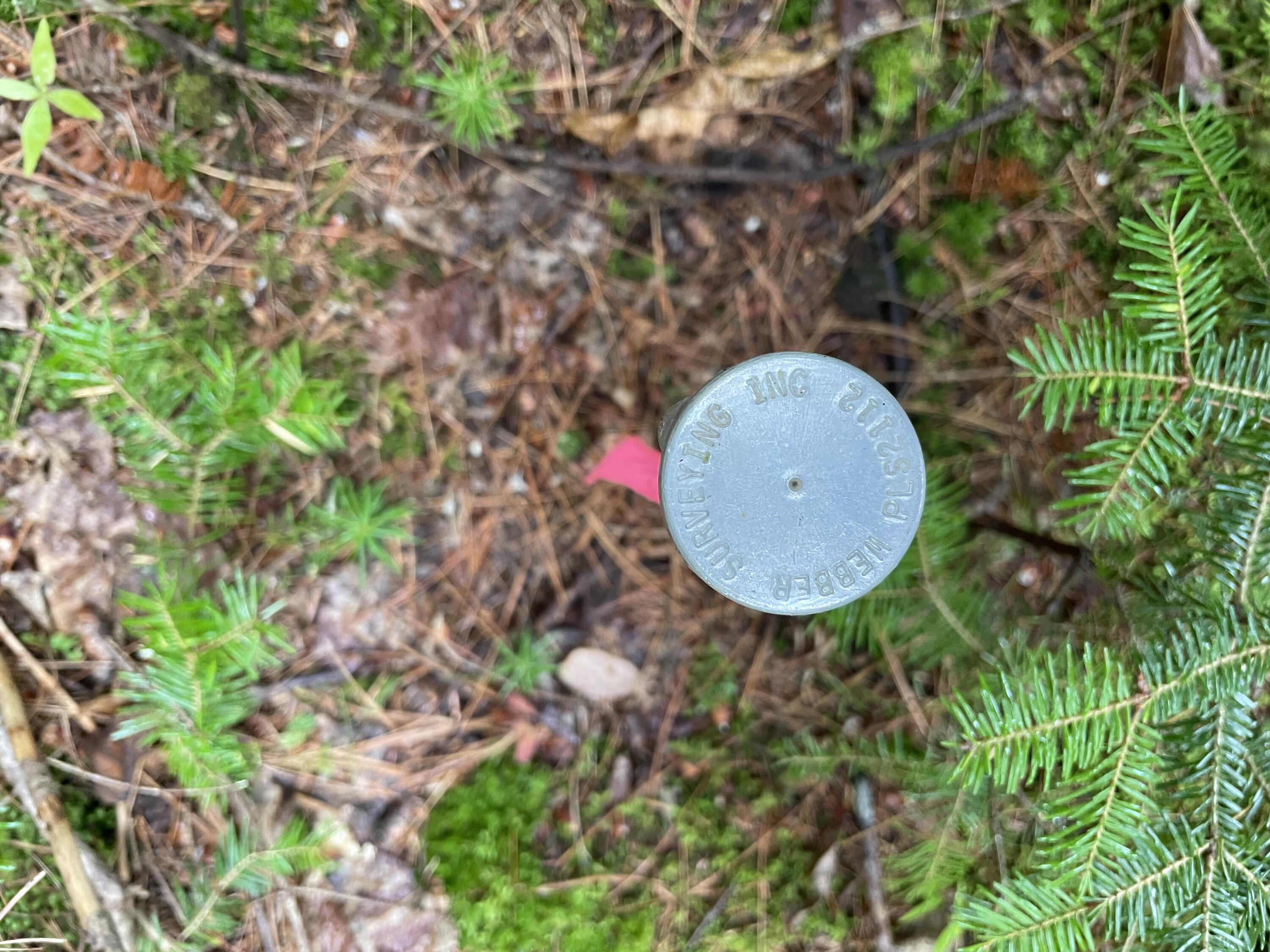 16 Fox Run Greenville, ME 04441 - Photo 10 of 11 IMG_6253