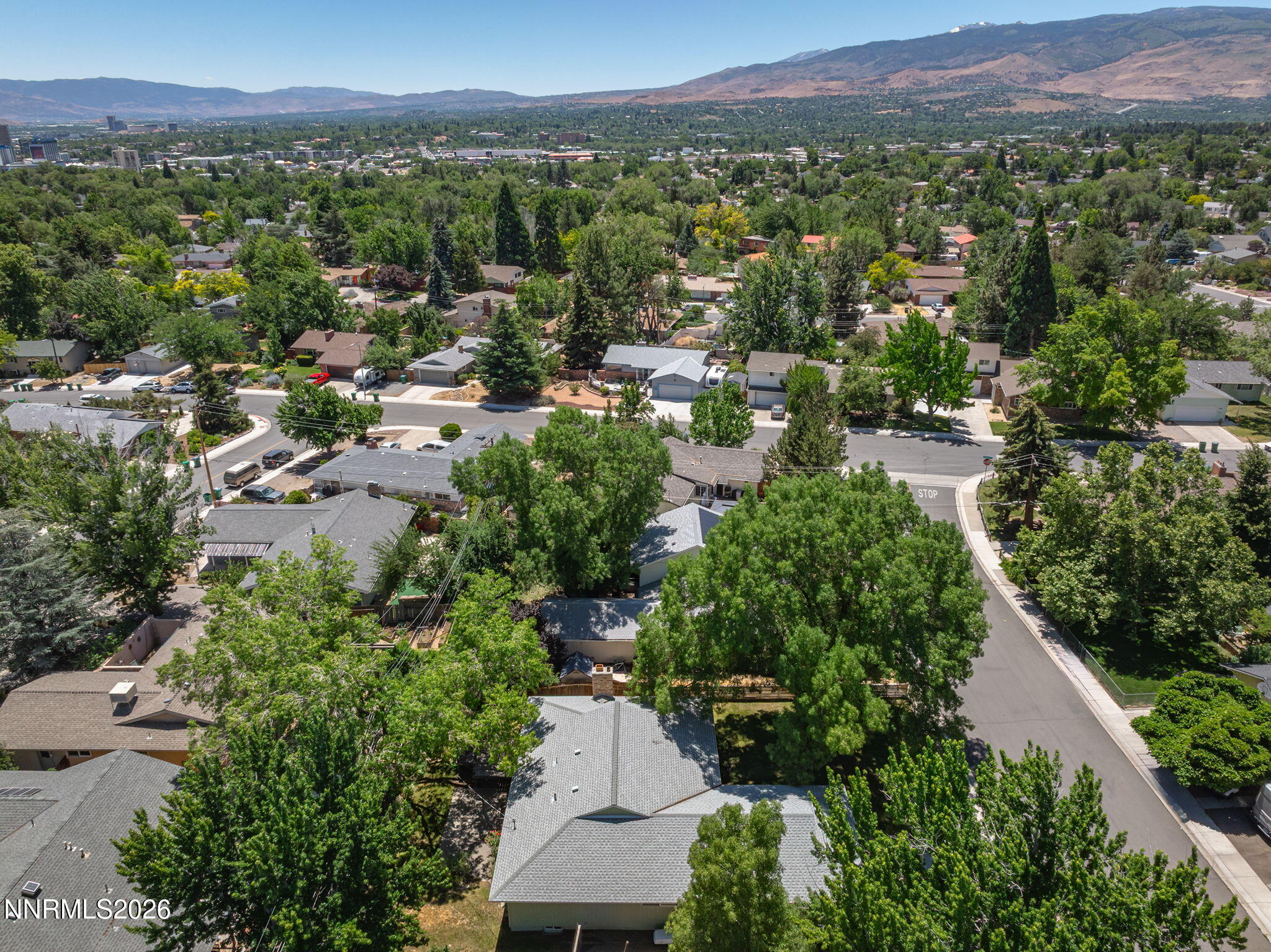 1310 Earl Drive Reno, NV 89503 - Photo 46 of 53 50-web-or-mls-DJI_0885