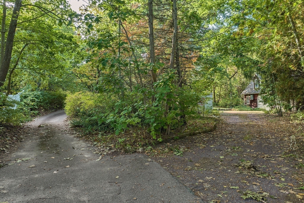 8 Ferry Road Salisbury, MA 01952 - Photo 40 of 42 a view of a forest filled with trees