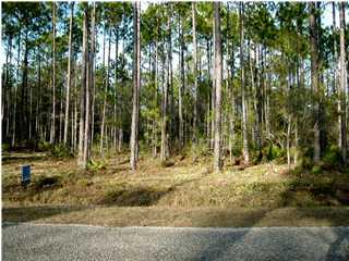 Lot 52 Mallet Bayou Road Freeport, FL 32439 - Photo 1 of 4 a backyard of a house with lots of green space