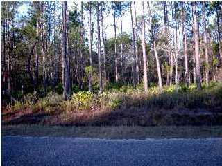 Lot 52 Mallet Bayou Road Freeport, FL 32439 - Photo 4 of 4 a view of a garden