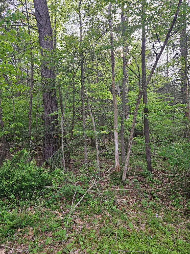 0 Hares Valley Road Mapleton Depot, PA 17052 - Photo 4 of 28 Gallery Image 4