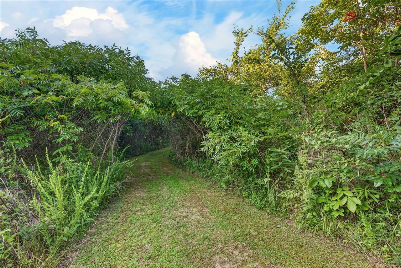 435 Pleasant Ridge Church Road Adolphus, KY 42120 - Photo 29 of 51 Gallery Image 29