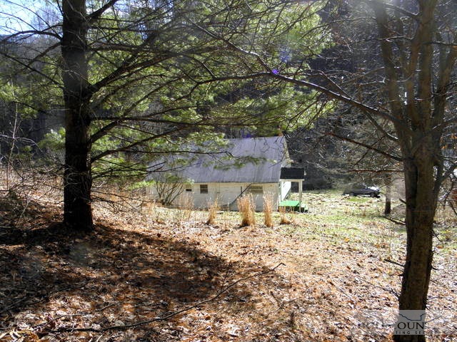 380 Hart Road Lansing, NC 28643 - Photo 4 of 12