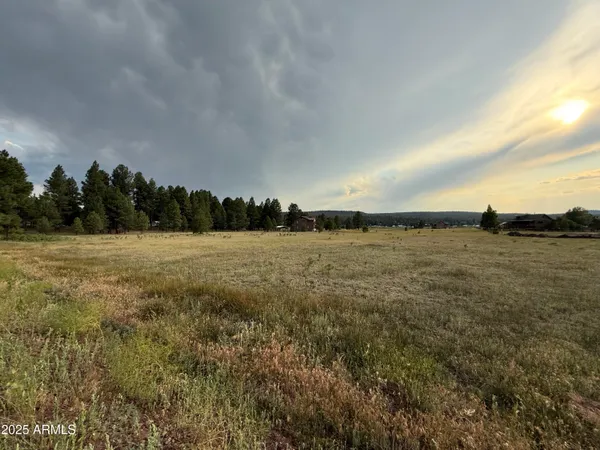 $275,000 | 213 High Point Drive, Unit 8, Mormon Lake, AZ 86038