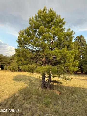 a view of a lake view