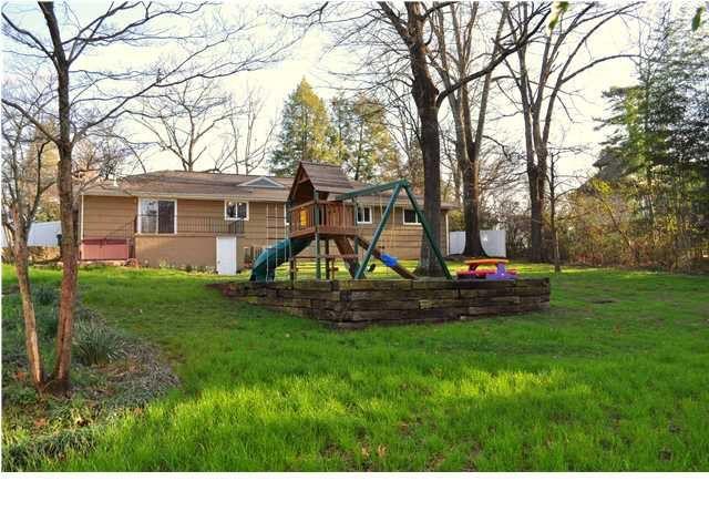 502 Brady Point Road Signal Mountain, TN 37377 - Photo 3 of 19 Back Yard 1