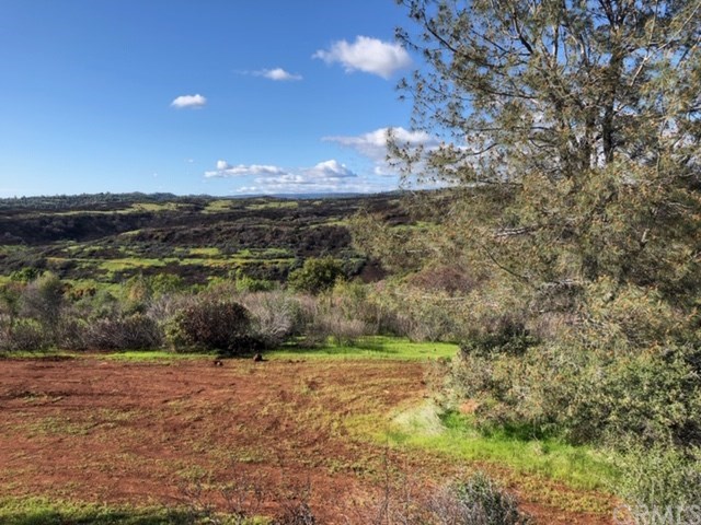 0 Sky Forest Ranch, CA 95942 - Photo 1 of 3 Gallery Image 1