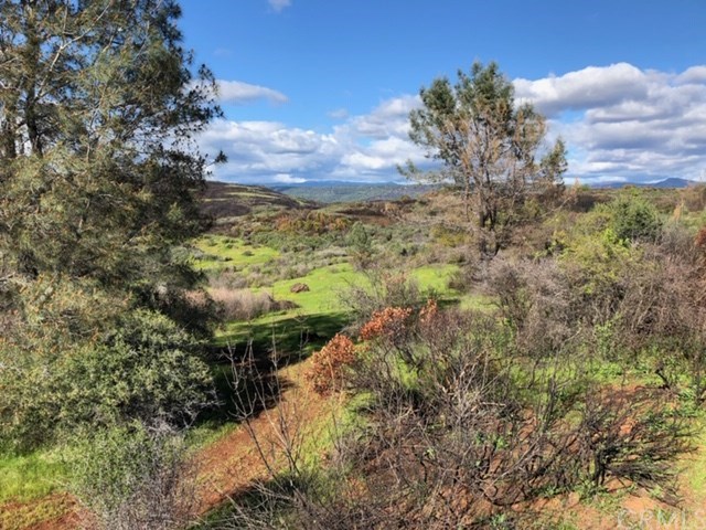 0 Sky Forest Ranch, CA 95942 - Photo 3 of 3 Gallery Image 3