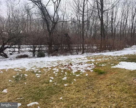 a view of a yard covered in snow