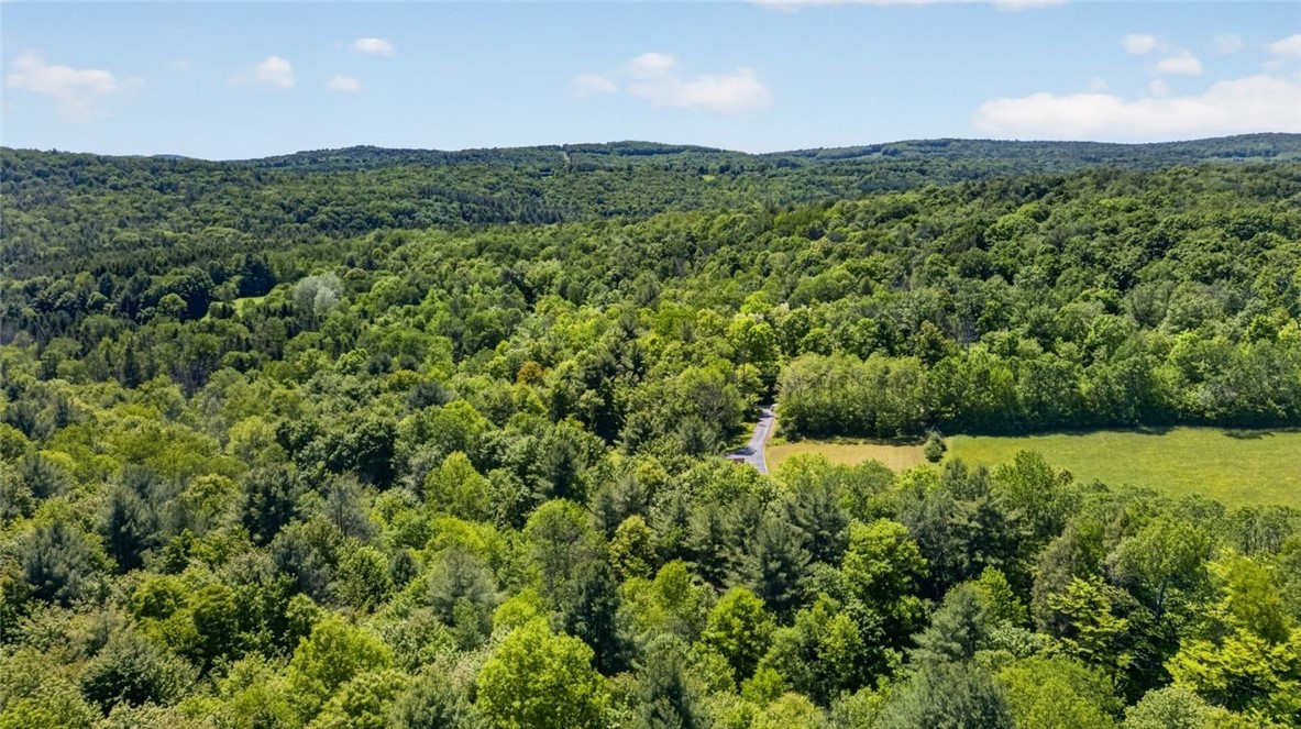 55 Yarns Road Colesville, NY 13787 - Photo 43 of 50