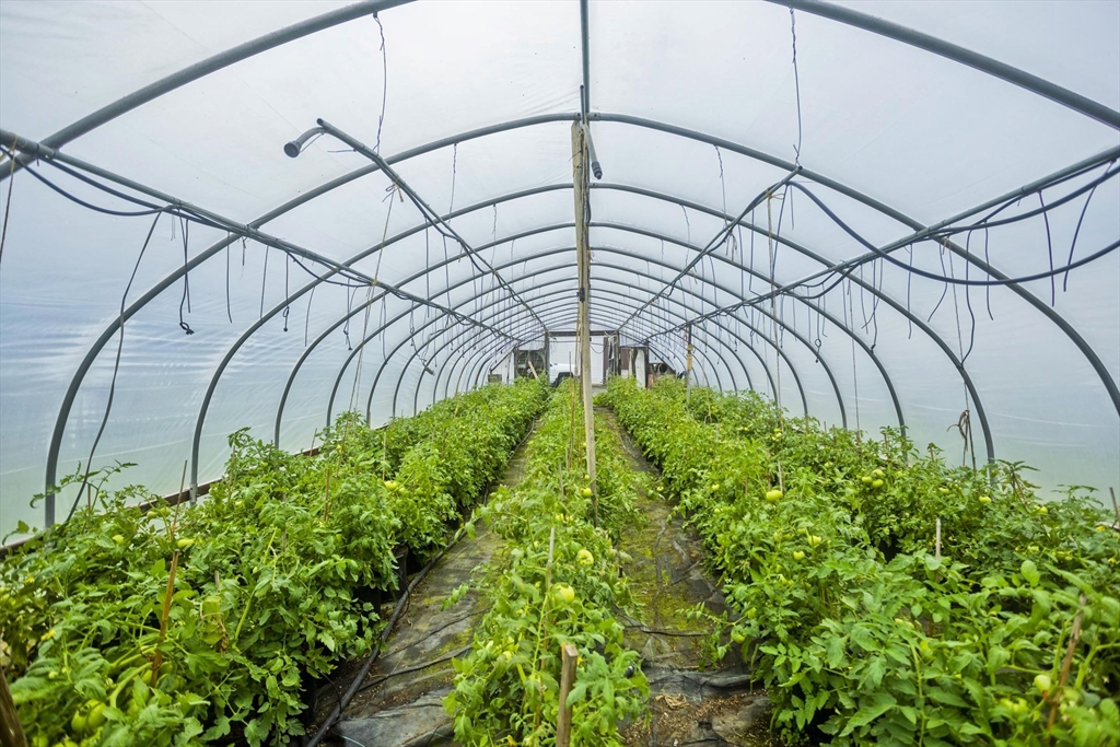 336 Russellville Road Westfield, MA 01085 - Photo 13 of 18