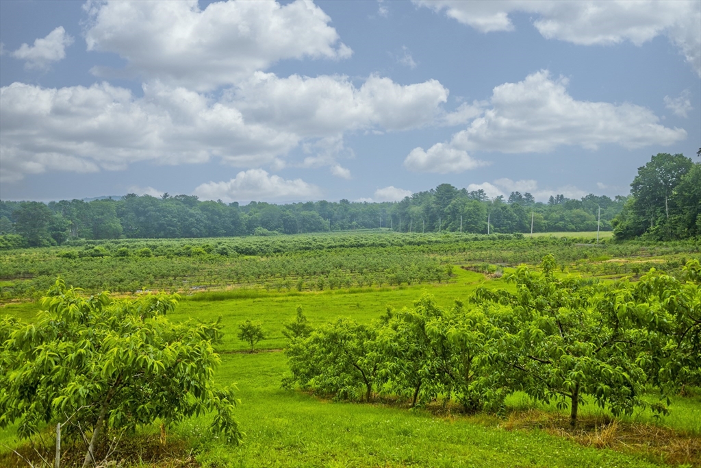 336 Russellville Road Westfield, MA 01085 - Photo 17 of 18 a view of a green field with lots of green space