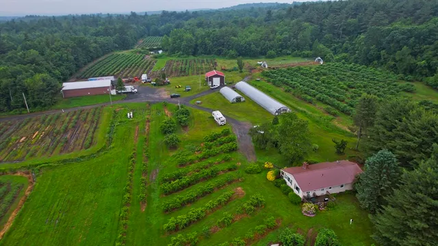 a view of a lush green forest with a house