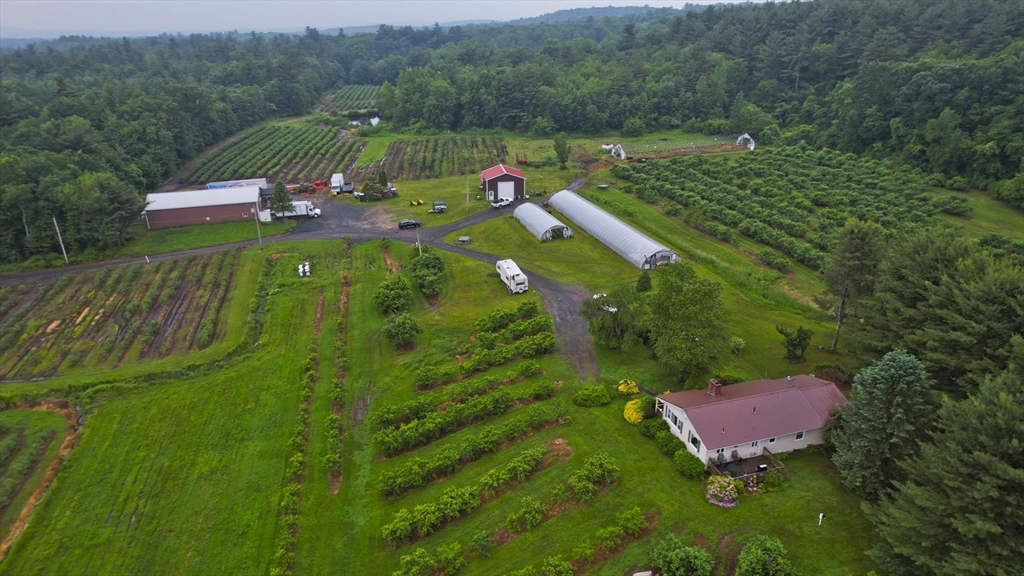 336 Russellville Road Westfield, MA 01085 - Photo 2 of 18 a view of a lush green forest with a house