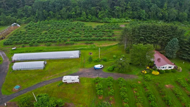 a green field with lots of trees