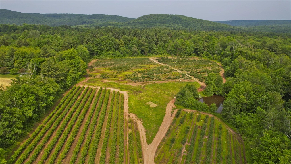 336 Russellville Road Westfield, MA 01085 - Photo 5 of 18 a view of a yard