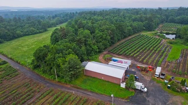 a view of a back yard of the house