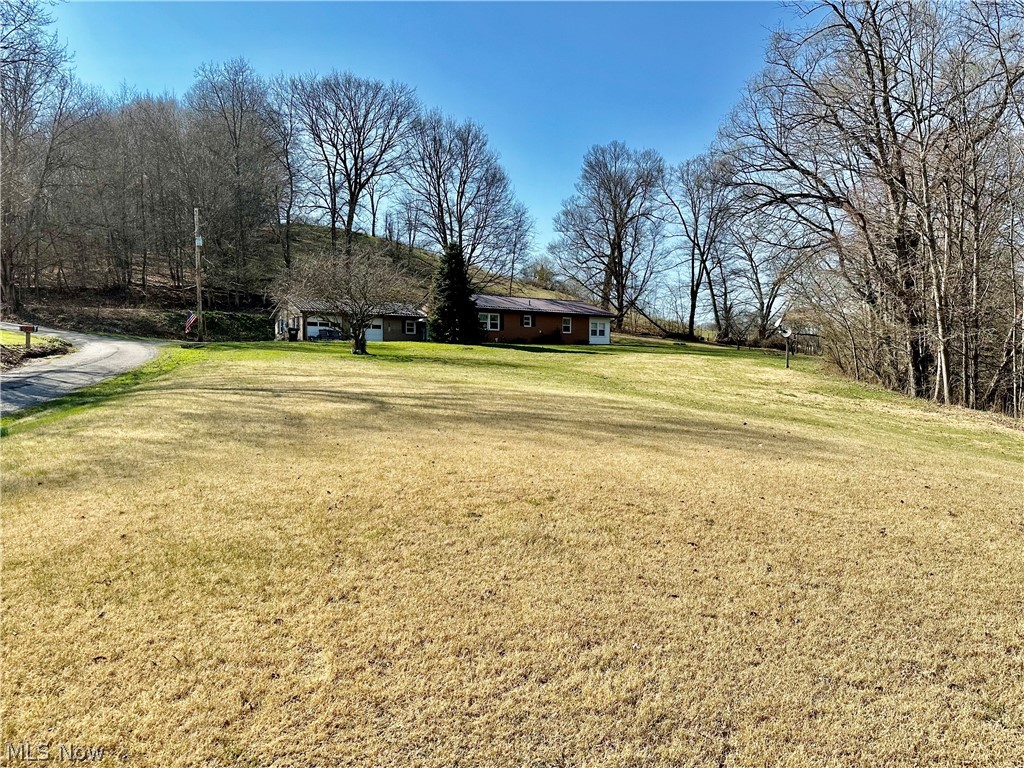 111 Fort Road Southwest Dellroy, OH 44620 - Photo 8 of 38 View of yard
