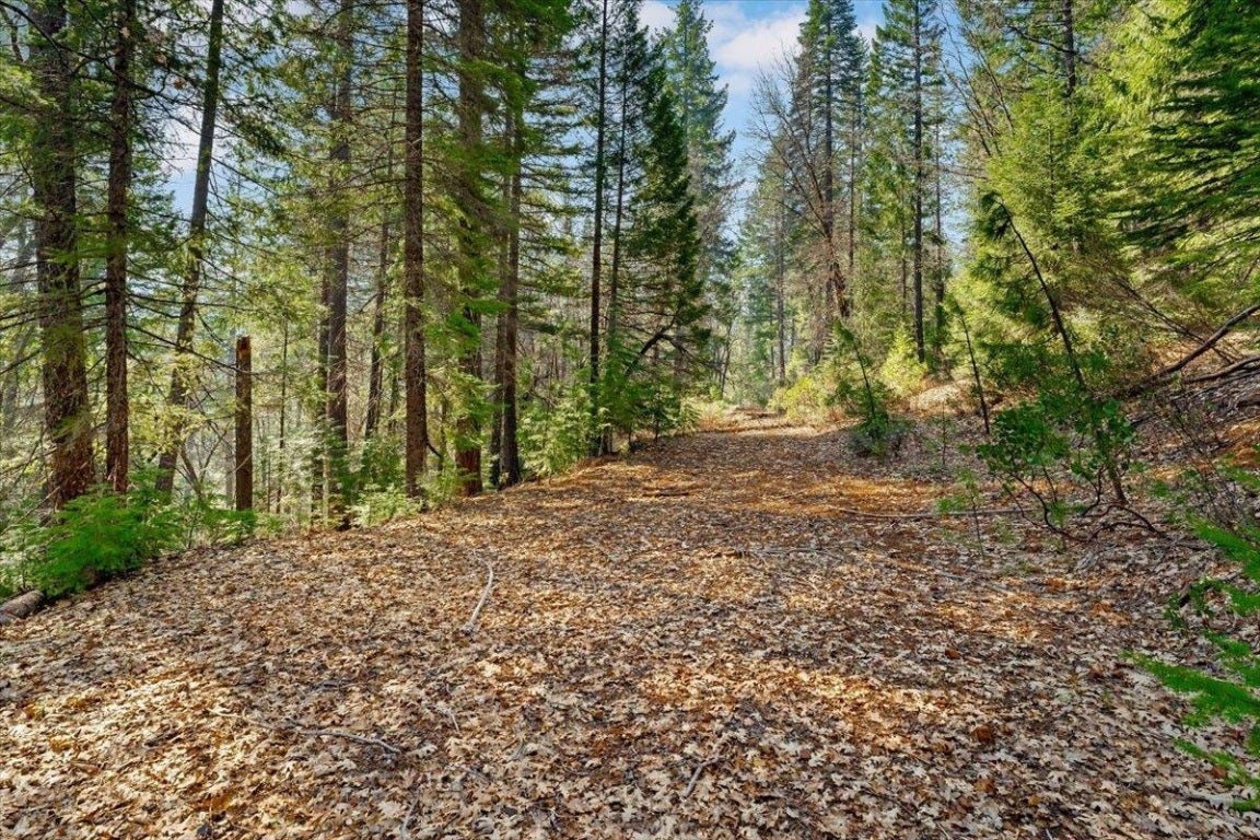 Lot 4 Circle 7 Road McCloud, CA 96057 - Photo 3 of 13 Gallery Image 3