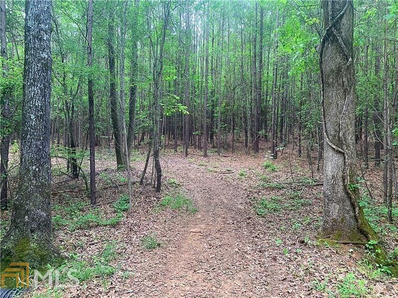 0 Island Shoals Road, Unit TRACT 2 Jackson, GA 30233 - Photo 1 of 1 Gallery Image 1