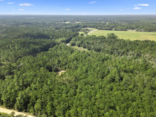 a view of a city with an ocean