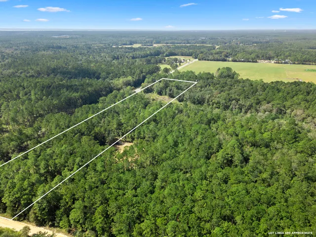a view of a city with an ocean