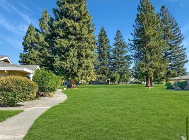 a view of a grassy field with trees