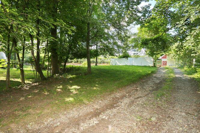1 Charlotte Drive Spring Valley, NY 10977 - Photo 6 of 25 a view of a tree in a yard