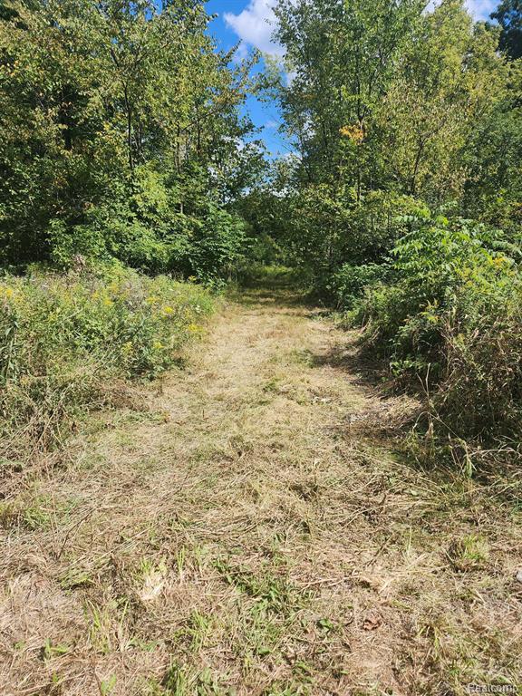 1 Marshall Road Ann Arbor, MI 48104 - Photo 3 of 14 Gallery Image 3