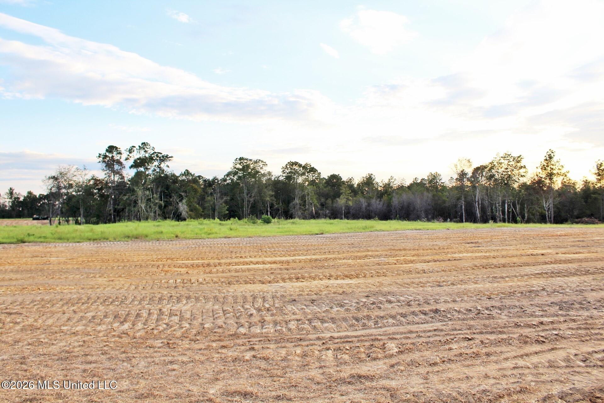 Lot 12 Little Cedar Road Lucedale, MS 39452 - Photo 5 of 7 IMG_4210