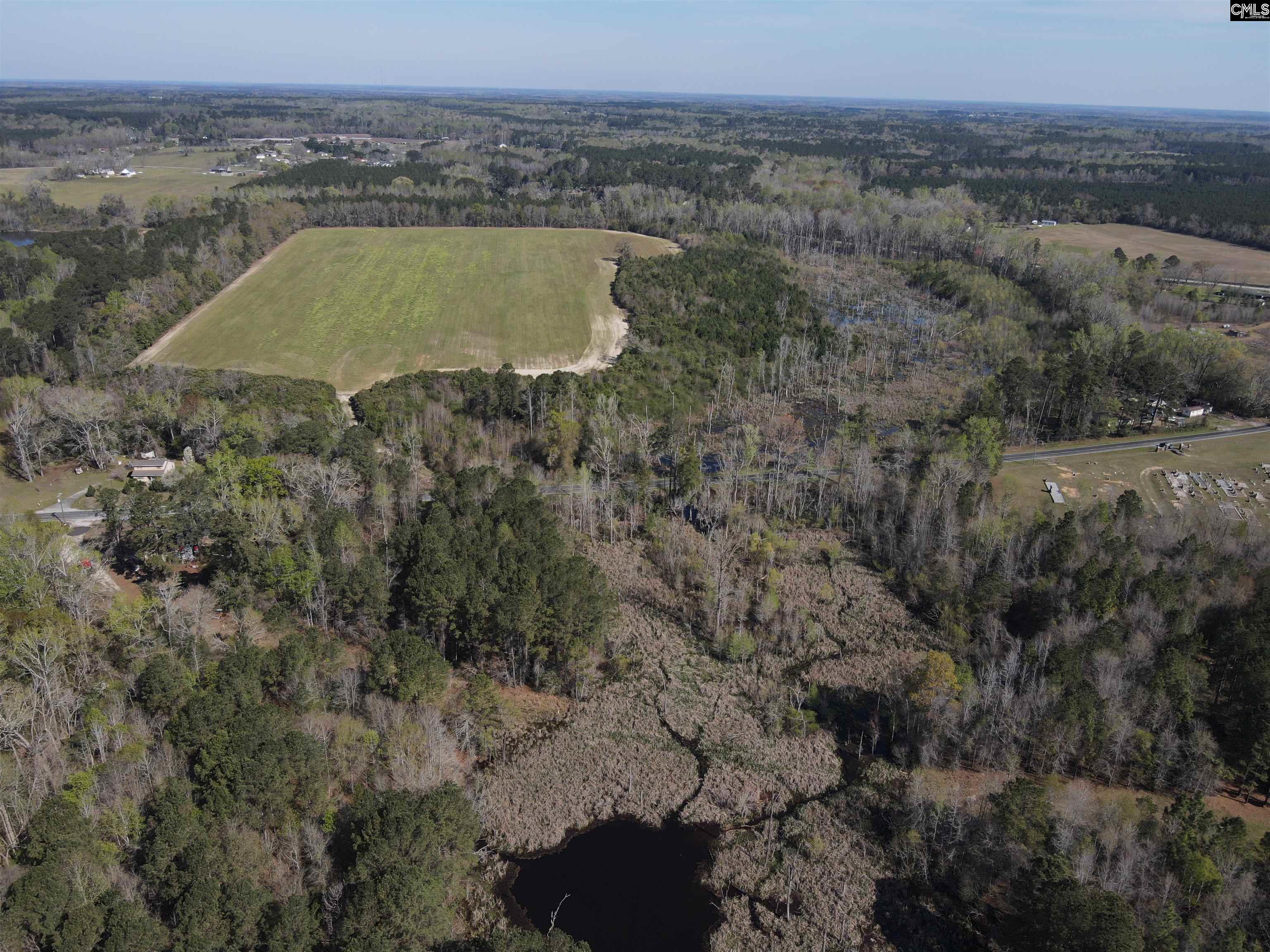 Tbd Blewer Road Cordova, SC 29039 - Photo 11 of 13