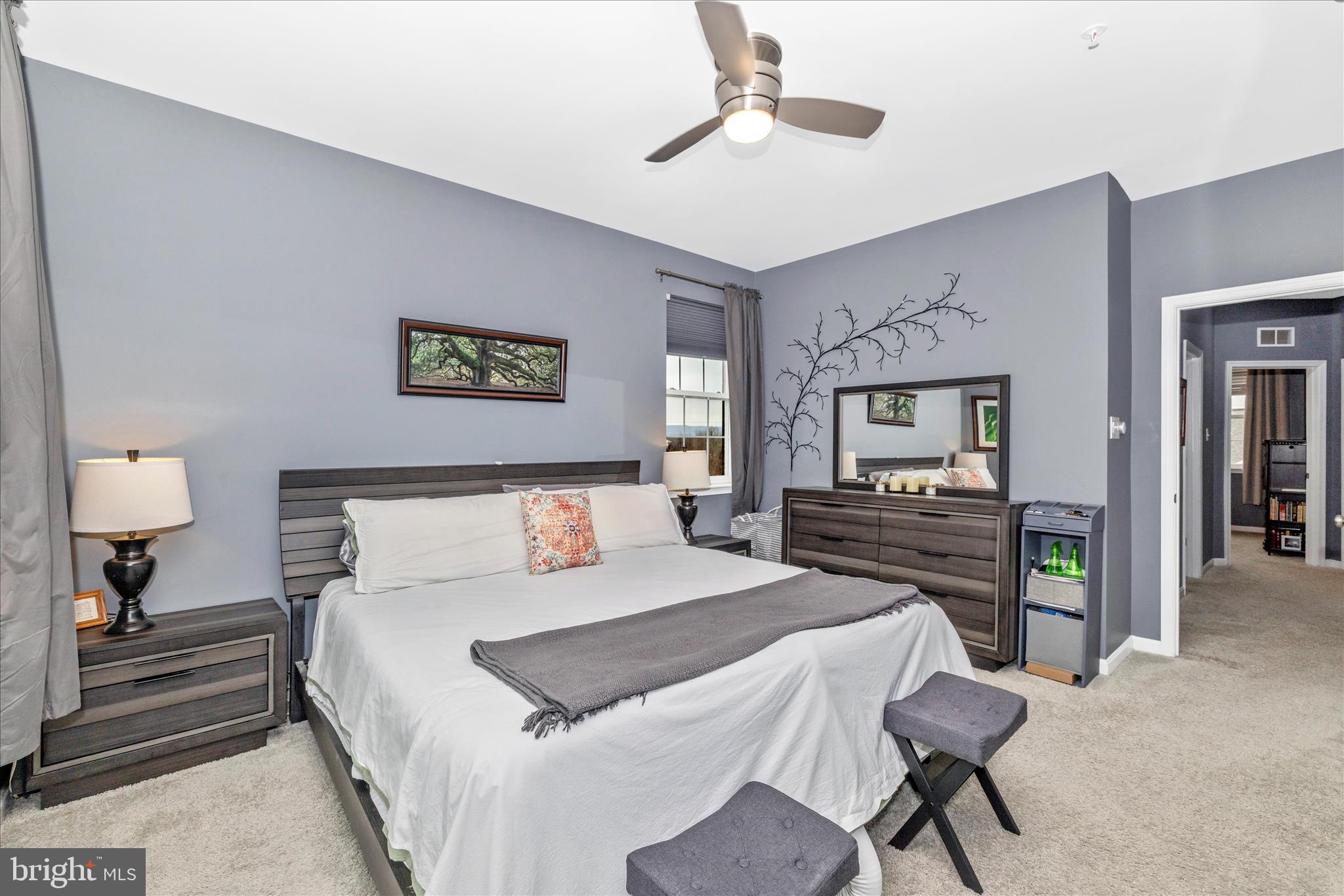 7001 Freedom Way Frederick, MD 21703 - Photo 29 of 65 Primary Suite 4