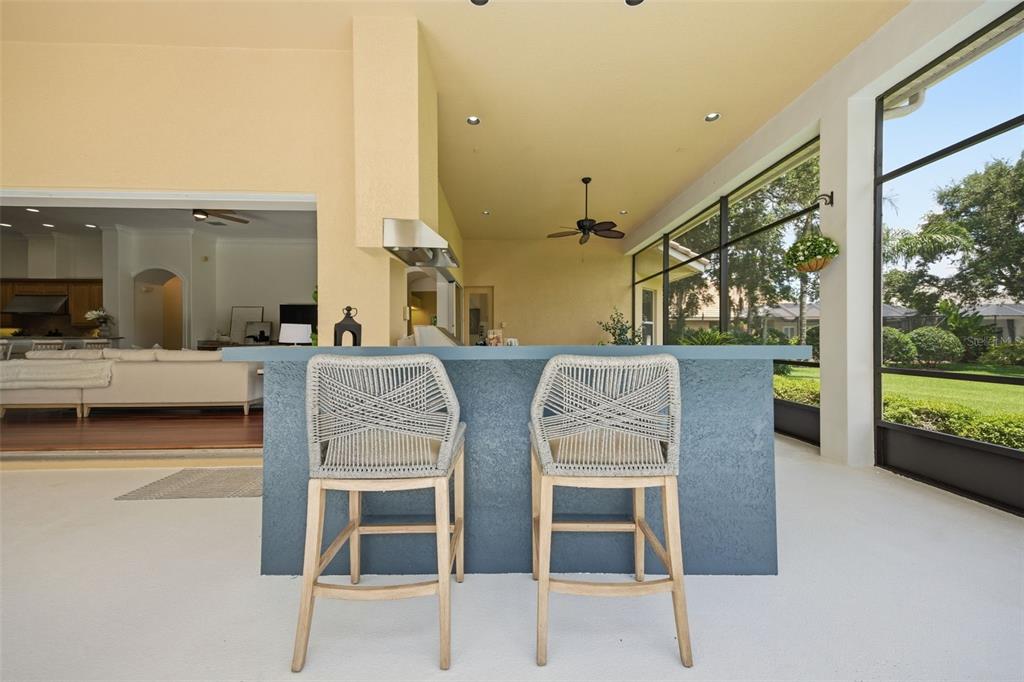 9409 Tree Tops Lake Road Tampa, FL 33626 - Photo 70 of 97
