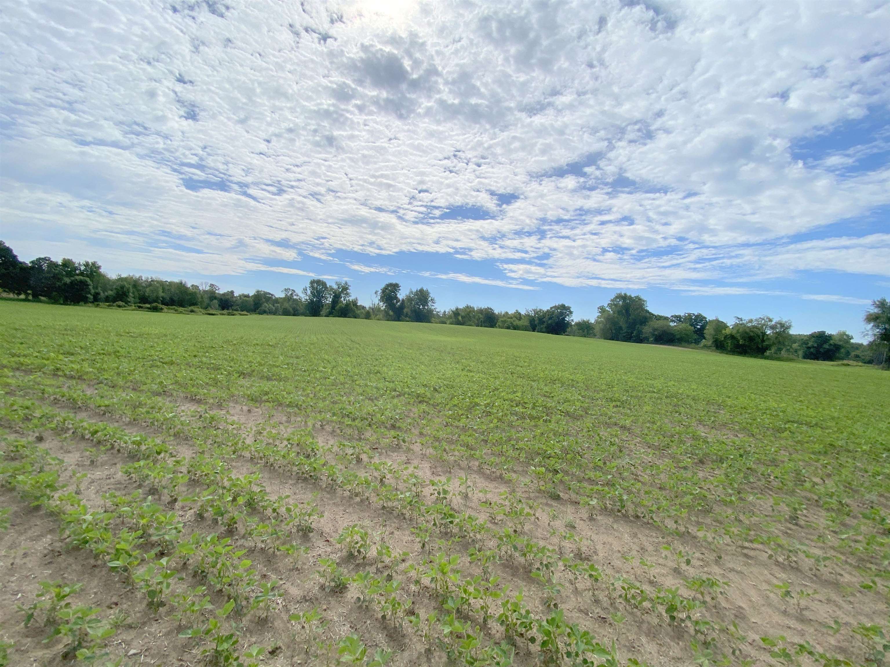 0 Elm (parcel B) Road Webberville, MI 48892 - Photo 7 of 8