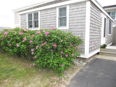 544 Shore Road, Unit 9A Truro, MA 02666 - Photo 13 of 17 Additional Photo
