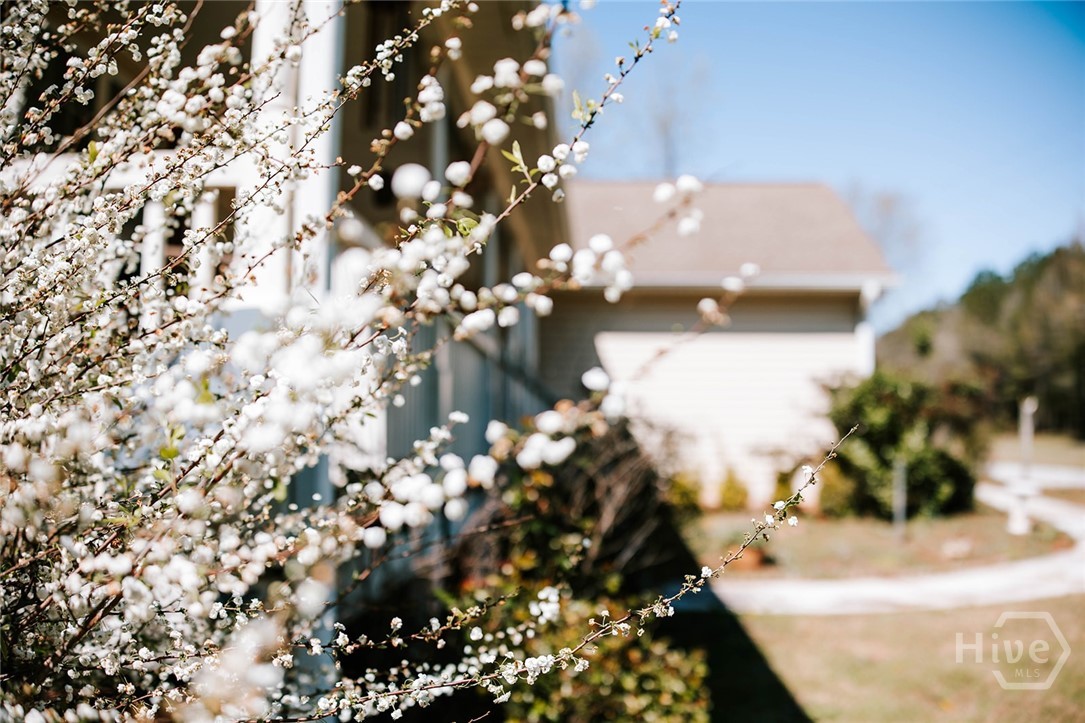 2242 Crawfordville Road Rayle, GA 30660 - Photo 34 of 65